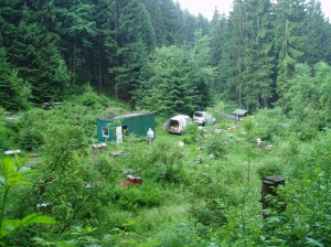 Belegstelle Lautenthal
