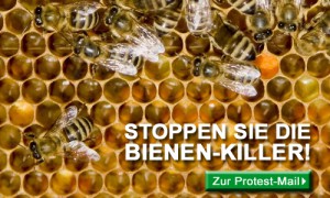 Banner_Petition_Bienen