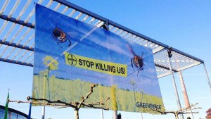 bienen-bayer-protest-leverkusen-gp0stob99