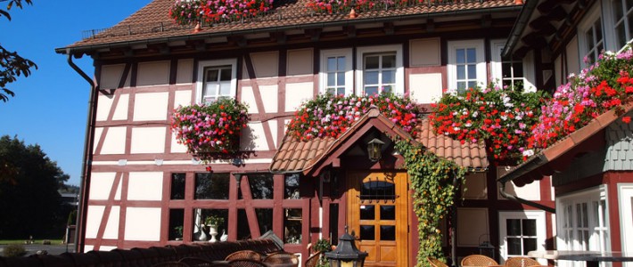 Einladung zur Züchtertagung 2024 der GdeB am 02. und 03. März