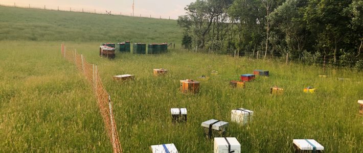 #Save the Date – Unsere Züchtertagung am 19. März ab 18.00 Uhr