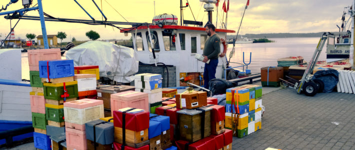 Sammeltransporte im Jahr 2023 zu den Belegstellen