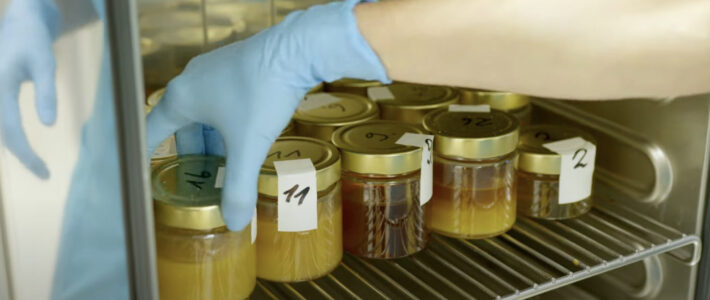 Berufsimker machen eigene Analyse